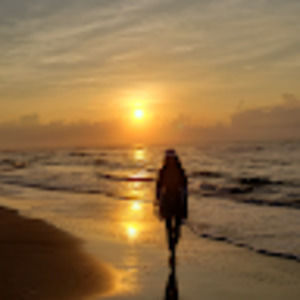 Meet your Posher, Abigail